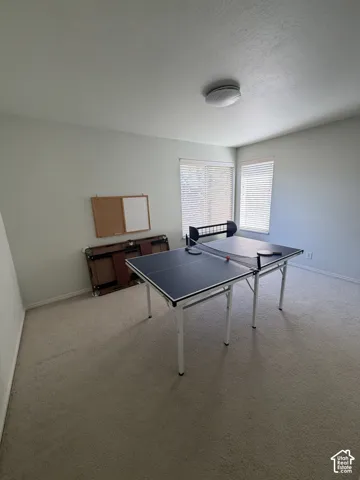 Neutral-toned carpet flooring, light-colored wall paint, white window blinds, and a flush-mount ceiling light fixture