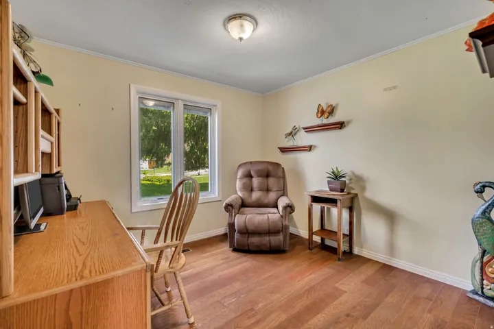 Wood-finish flooring with white trim