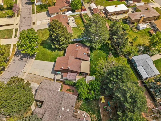 Expansive lot with mature trees, green lawn, and paved driveway