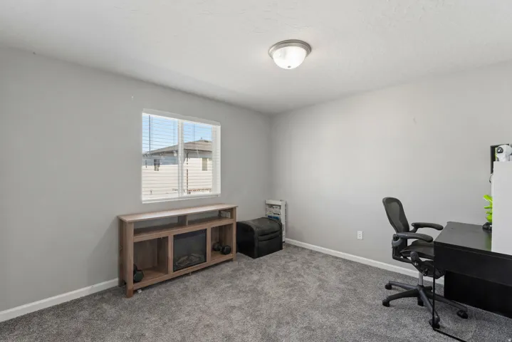 Plush carpeting and a flush-mount ceiling light