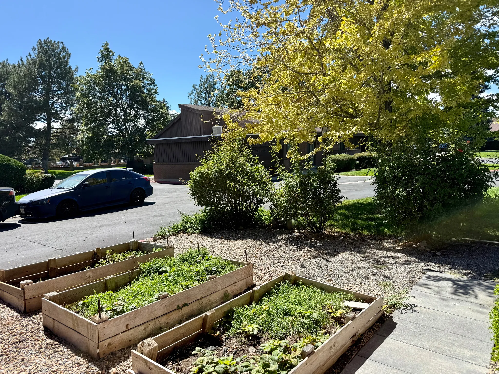 Exterior Garden Beds
