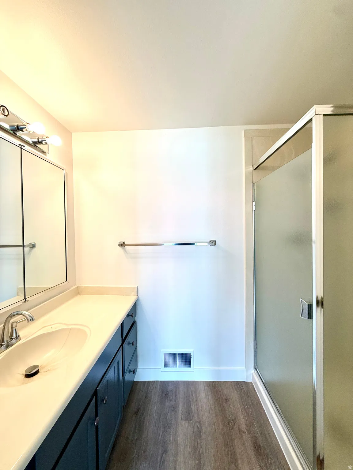Vanity with an integrated sink and chrome faucet, under-cabinet storage, wood-finish flooring, and a frosted glass shower enclosure