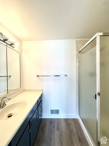 Vanity with an integrated sink and chrome faucet, under-cabinet storage, wood-finish flooring, and a frosted glass shower enclosure