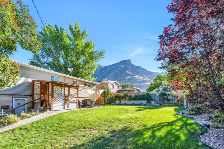 Well-kept backyard