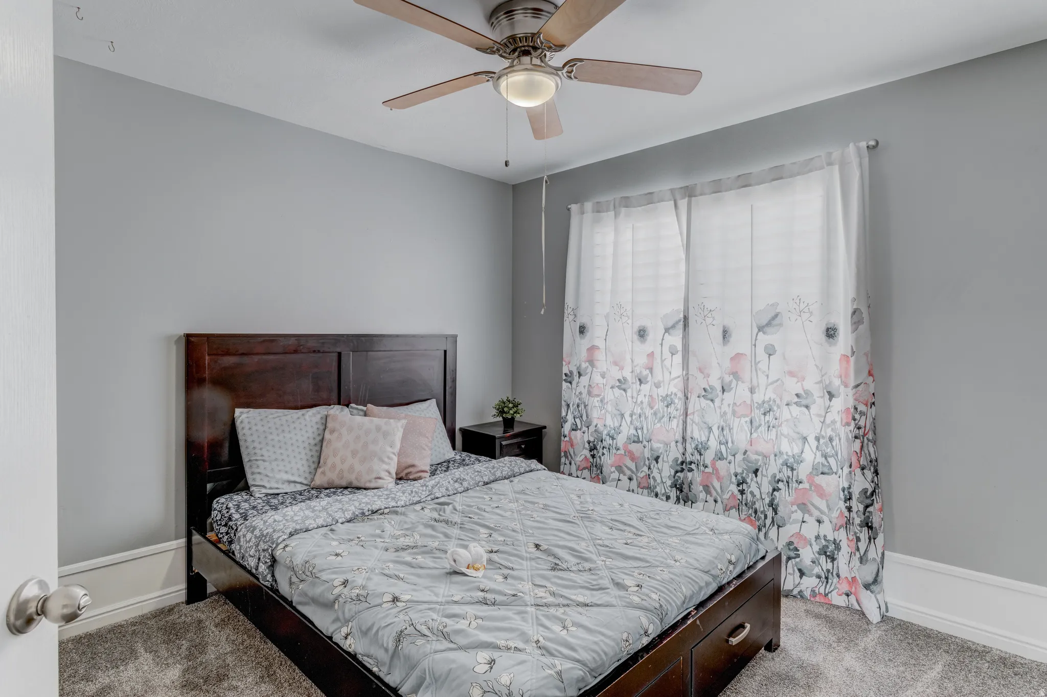 Gray wall paint with white trim, wood-finish bed frame, ceiling fan with integrated lighting, window with curtain rods