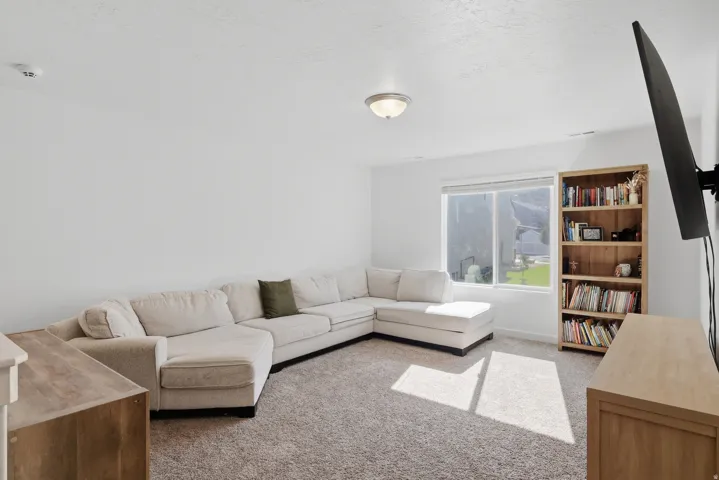 Window with outdoor views, light-colored walls, and textured carpeting