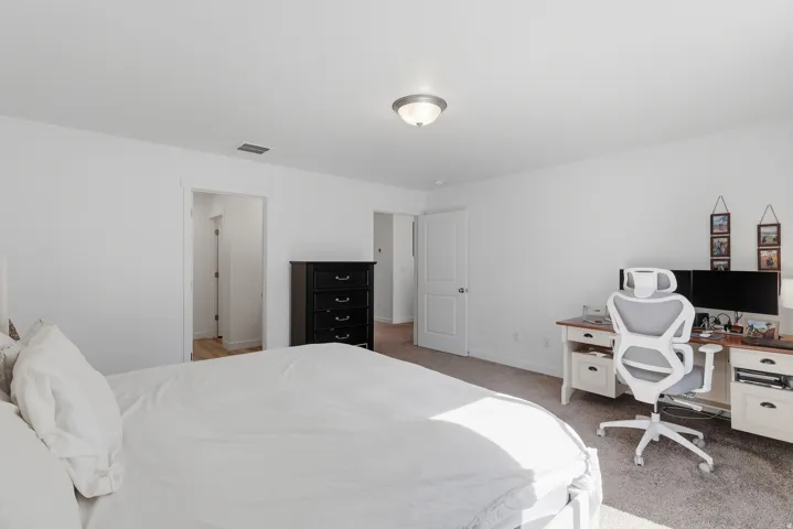 Carpeted flooring, white walls, white trim, and a ceiling-mounted light fixture
