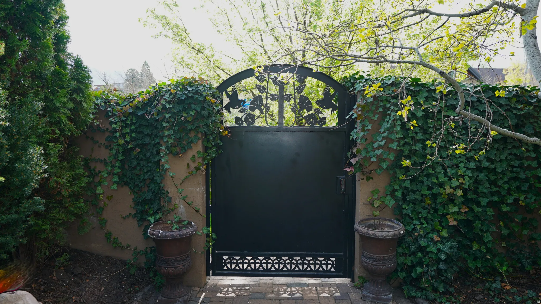 Wrought iron gate with decorative archway, stucco wall, established ivy, and paver stone entry