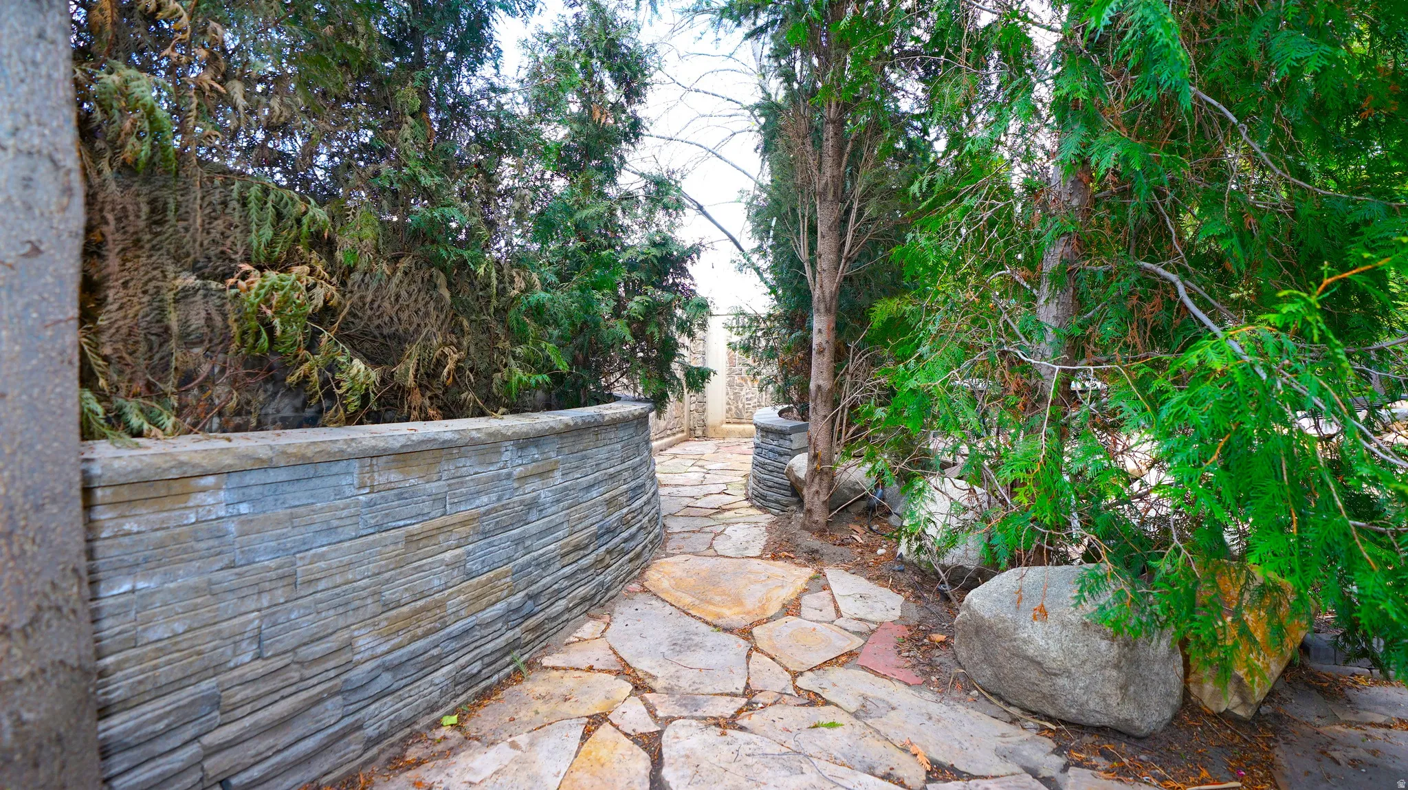 Flagstone pathway with a stone retaining wall and mature evergreen plantings