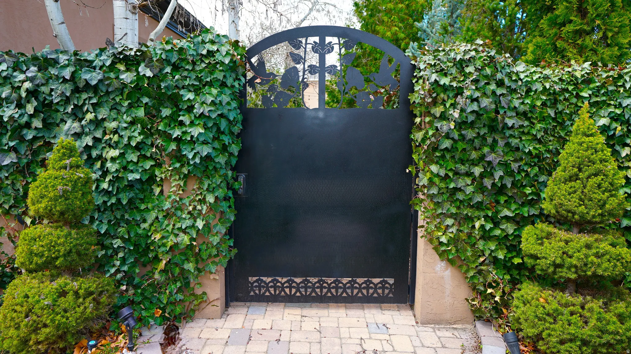 Wrought iron gate with decorative elements, flanked by ivy-covered walls, mature shrubbery, and paver stone walkway