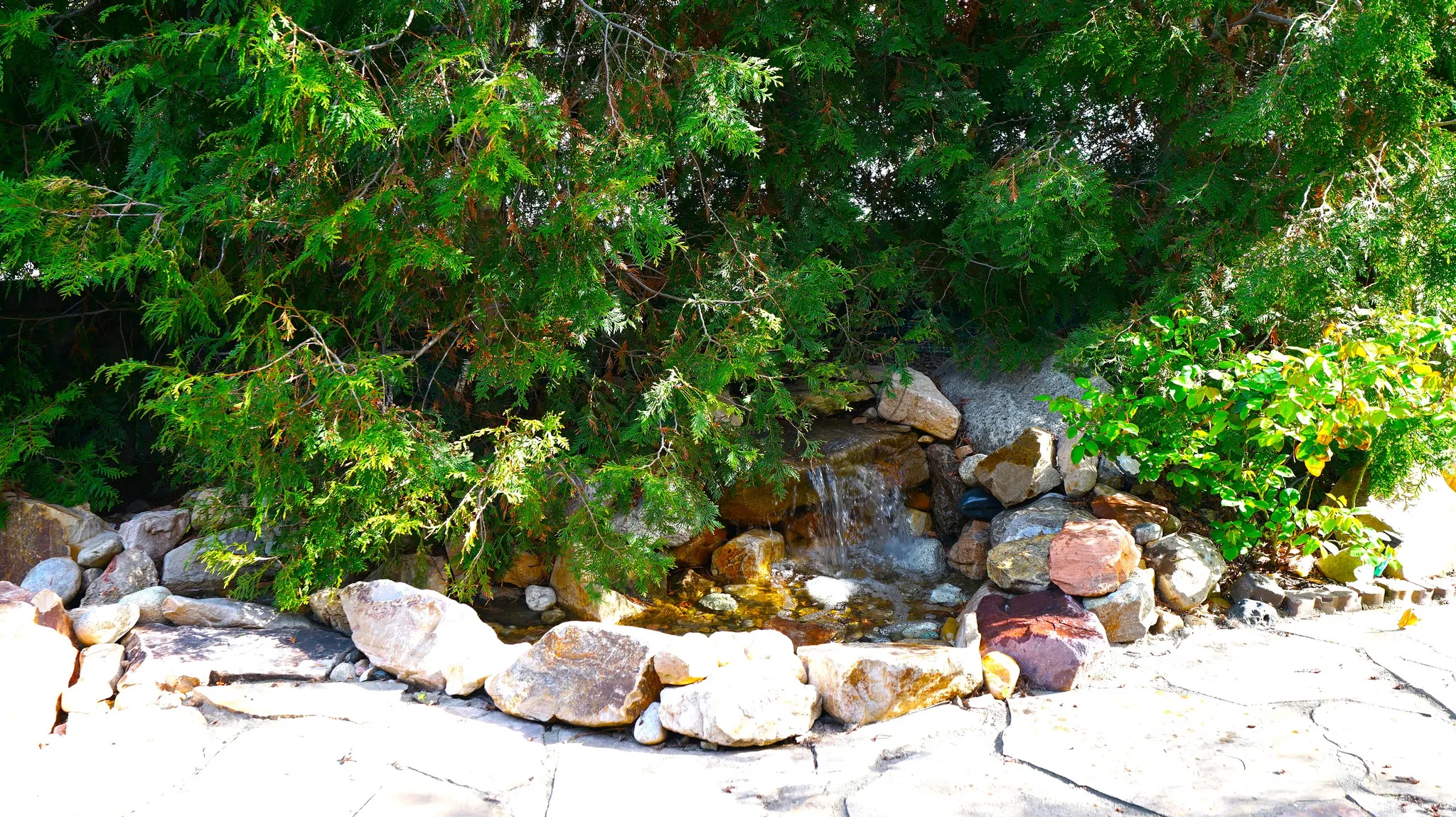 Landscaped rock garden featuring a cascading water feature and mature evergreen plantings
