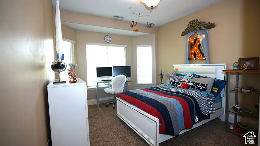 Recessed bay window, built-in shelving, carpet flooring, and a ceiling-mounted light fixture