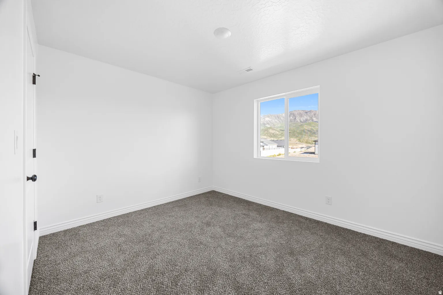 Neutral wall color, carpet flooring, window with natural scenery, white trim, and a flush mount light fixture