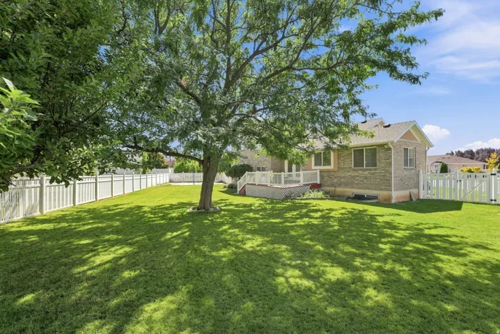 Expansive lawn featuring a mature tree, white privacy fencing, and a multi-level deck with white railings