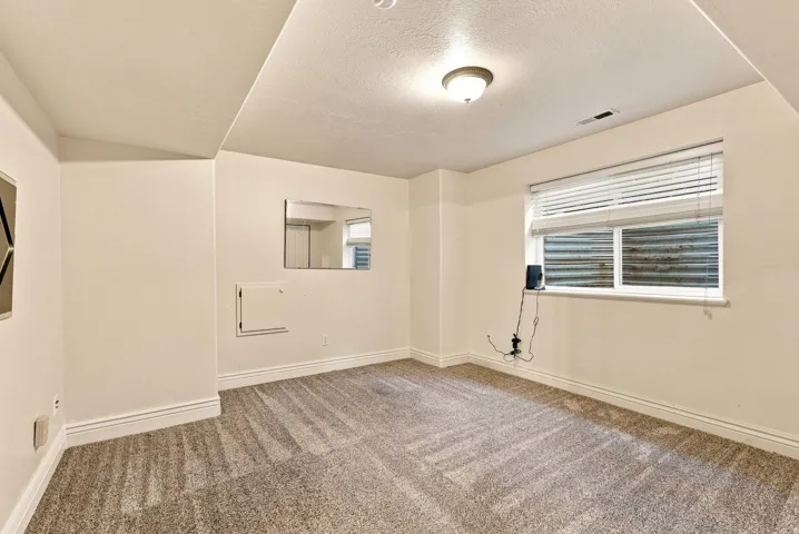 Recessed window with horizontal blinds, overhead ceiling light fixture, and wall-to-wall carpeting