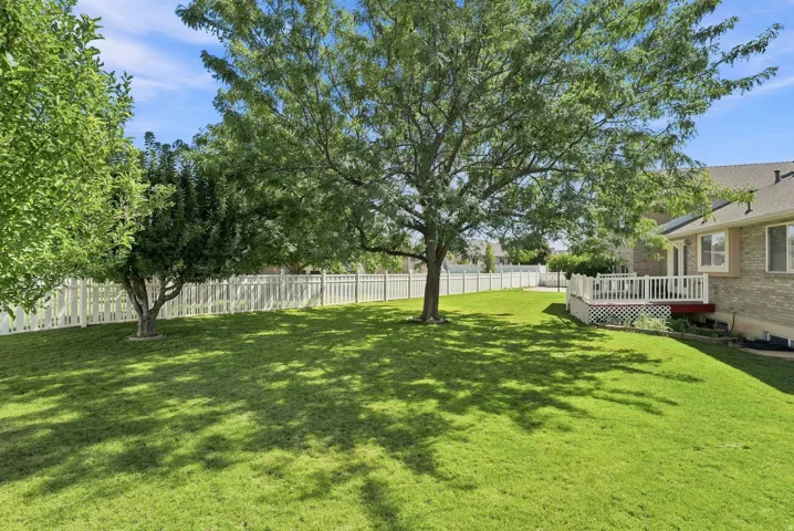 Expansive lawn with mature trees and white picket fencing