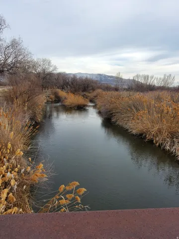Mountain backdrop with a winding river and natural vegetation