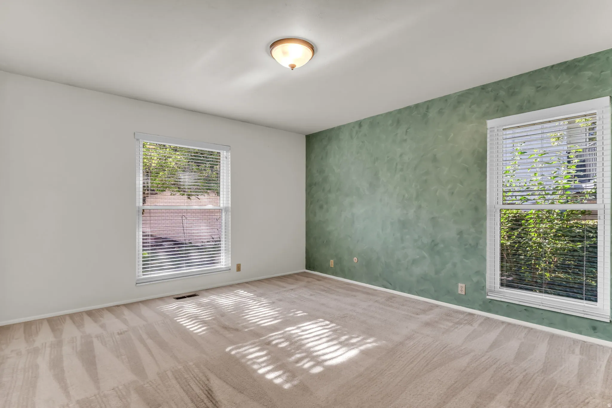 Neutral carpet flooring, two windows with blinds, and a ceiling-mounted light fixture