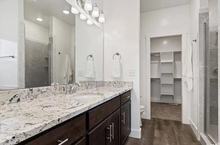 Vanity featuring a stone countertop, dual sinks, and dark wood-finish cabinetry