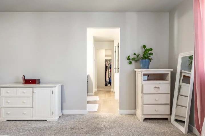 Light gray wall paint, light-toned wood-finish flooring, and light gray carpeting