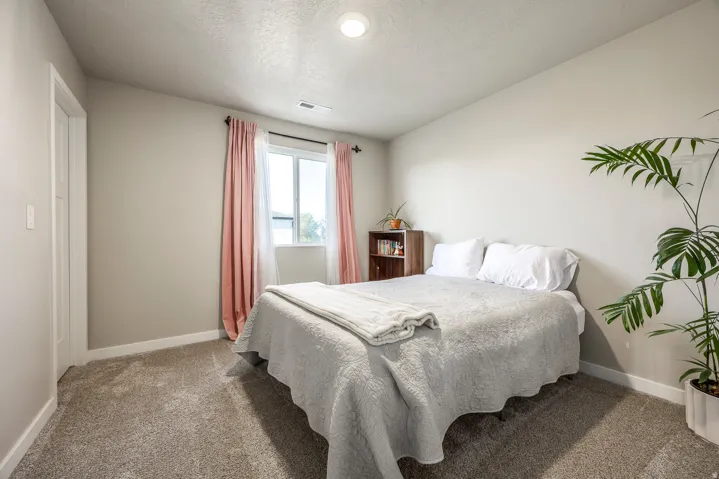 Plush carpet flooring, neutral painted walls, and a window with white trim