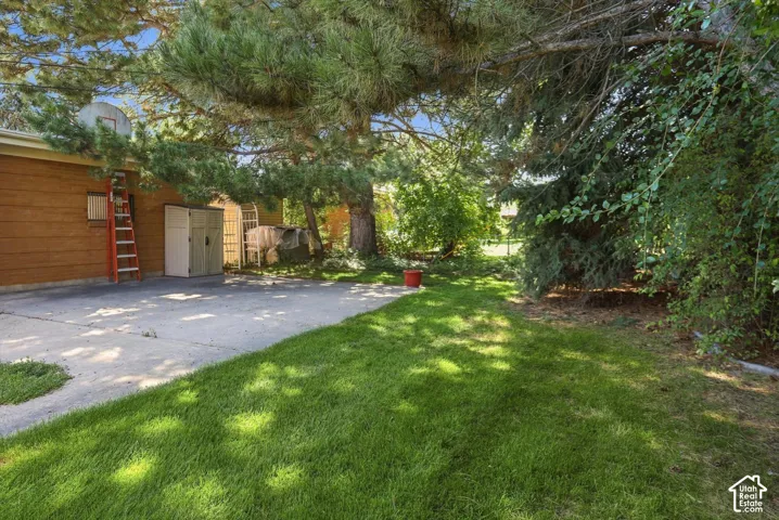 Expansive lawn area with mature trees and a concrete driveway