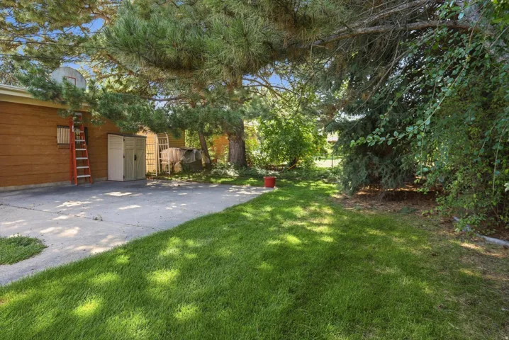 Expansive lawn area with mature trees and a concrete driveway