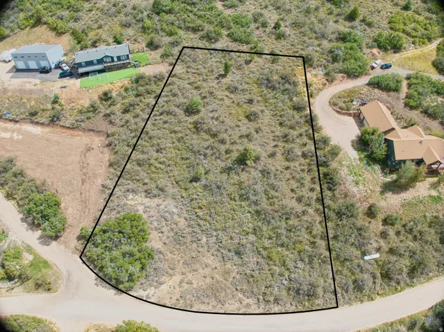 Expansive lot with natural vegetation, bordered by a paved road