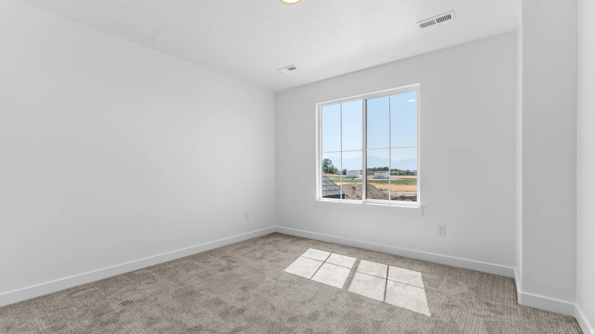 Window with multiple panes, gray wall-to-wall carpeting, white painted walls, and a flush-mount ceiling light