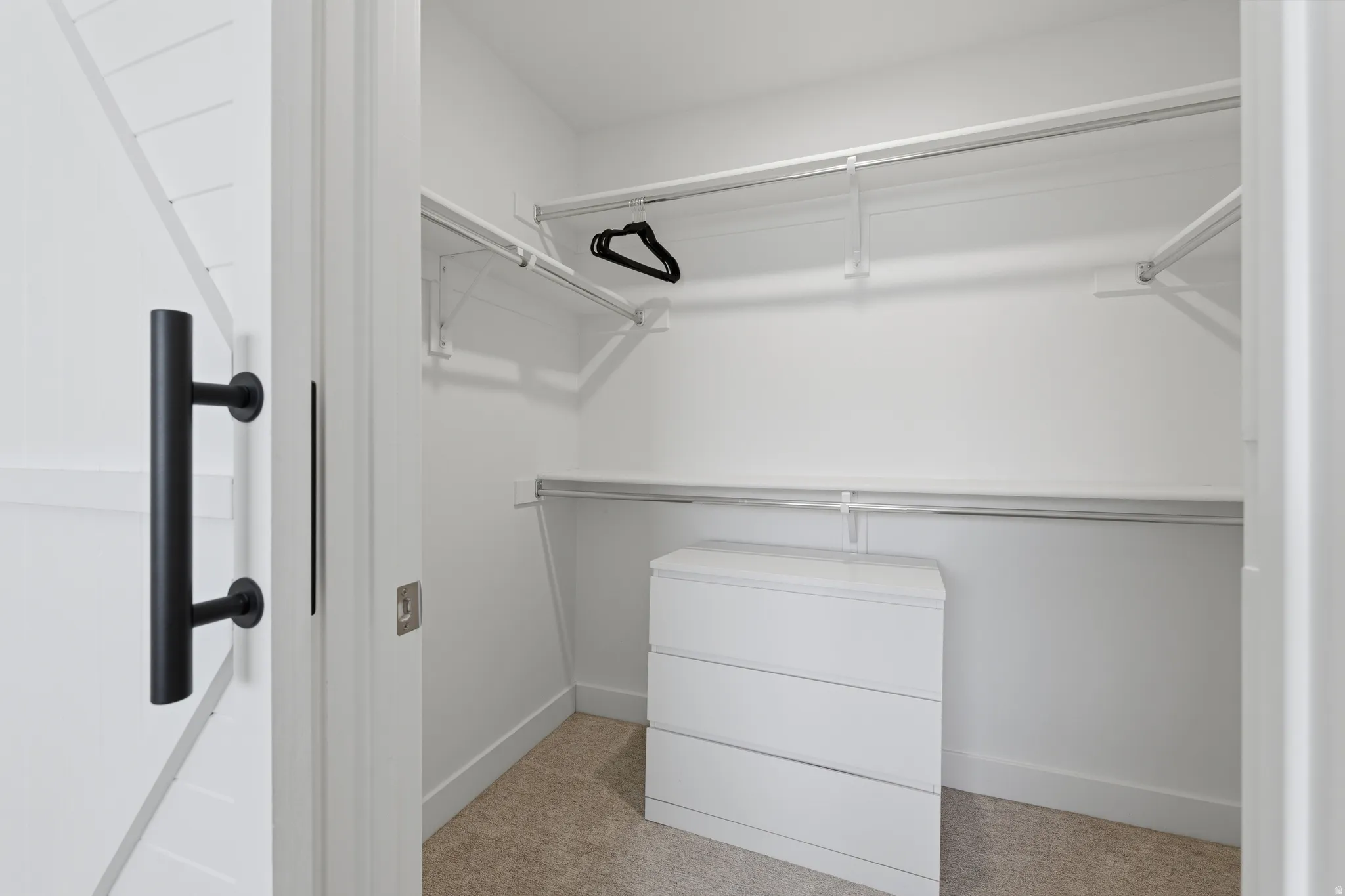 Closet featuring carpet flooring, built-in shelving, and white walls
