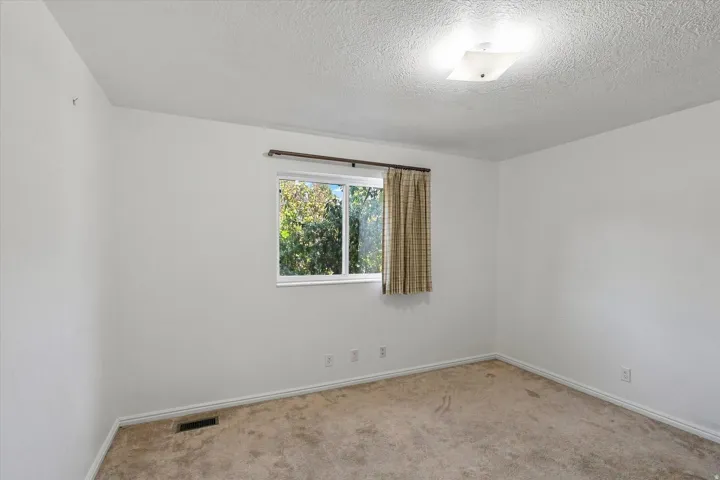 Neutral wall finishes, textured ceiling, window with outdoor scenery, ceiling-mounted light fixture, and carpeted flooring