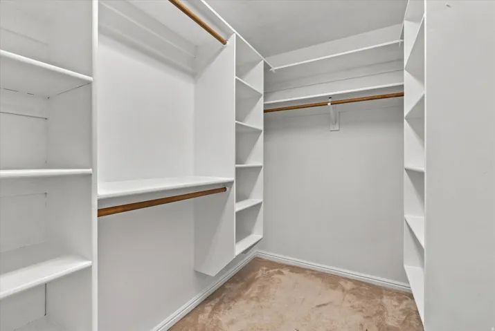 Walk-in closet featuring extensive built-in shelving, multiple hanging rods, and light-colored carpeting