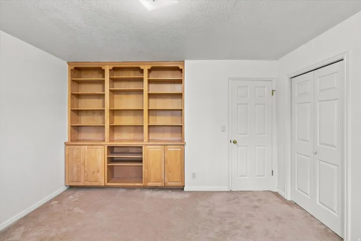 Built-in wood shelving with lower cabinetry, neutral carpeting, and white paneled doors
