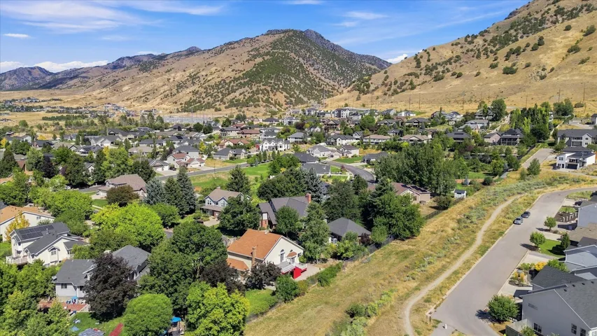 Residential neighborhood with mature trees and mountain backdrop