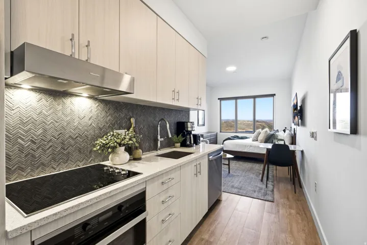 Wood-finish flooring, full kitchen with stainless steel appliances, herringbone tile backsplash, light-toned cabinetry, and large windows