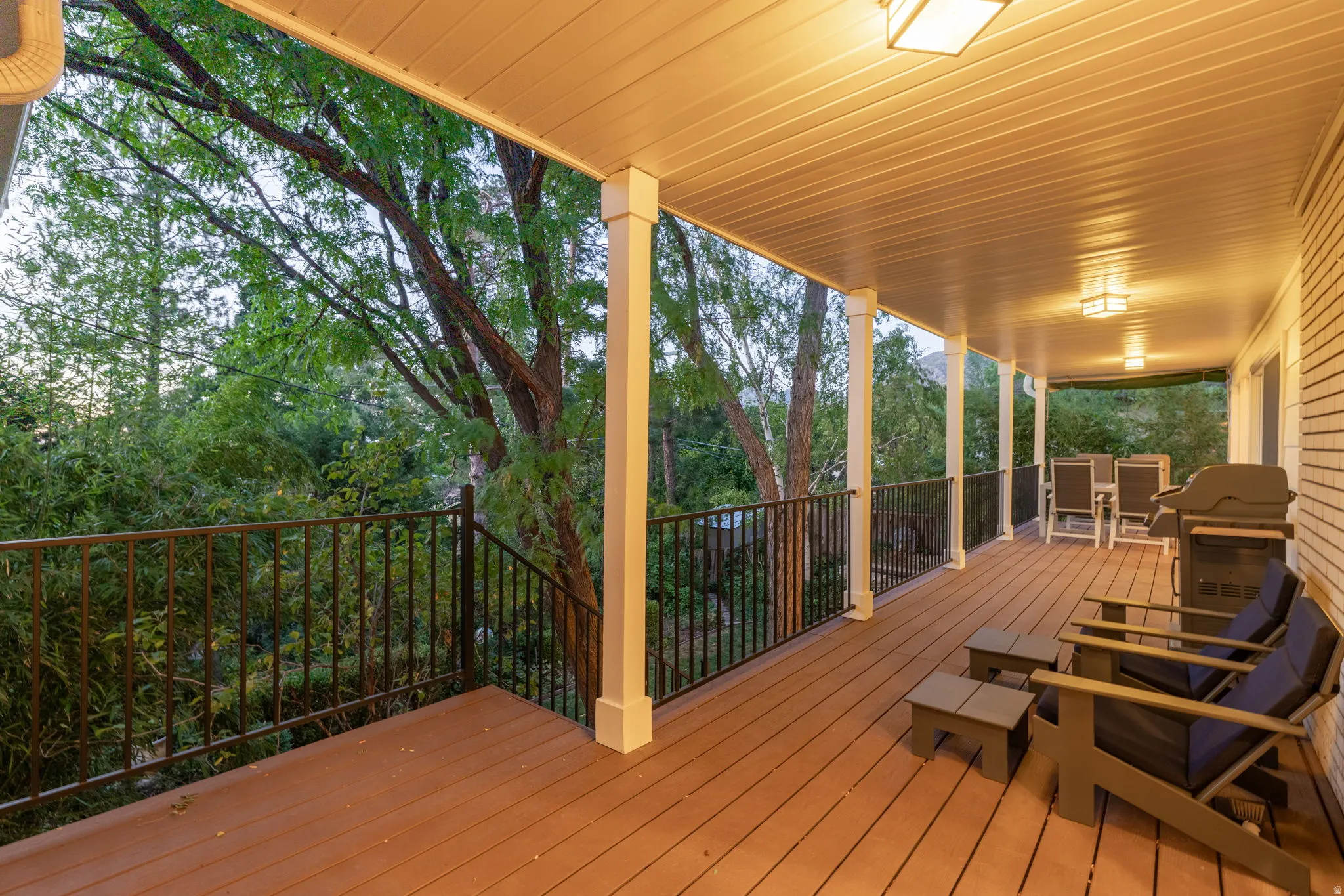 Covered Trex deck