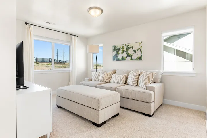 Neutral wall color with two windows providing natural illumination, carpeted flooring, and an attached ceiling light fixture