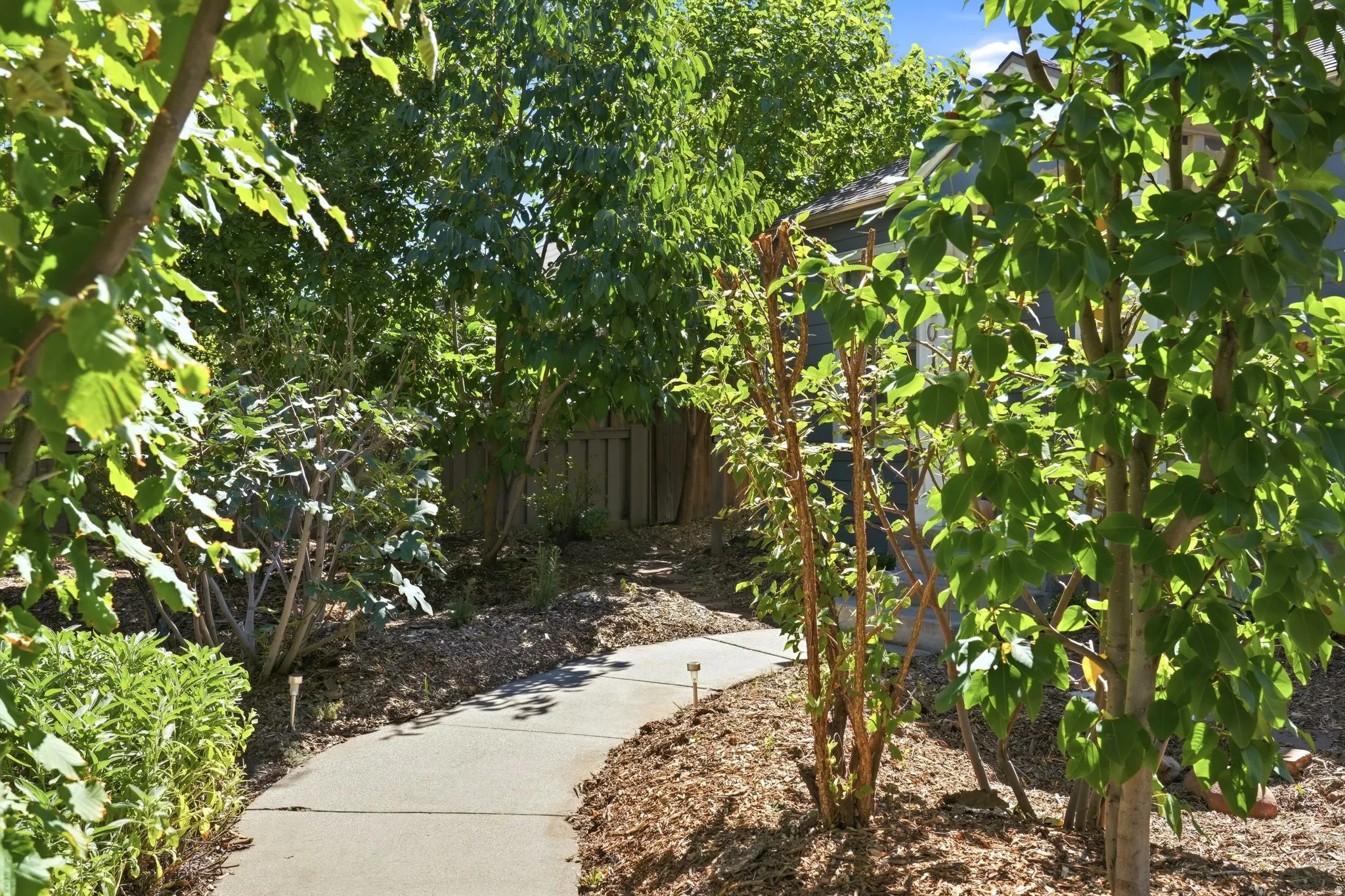 Concrete pathway surrounded by dense, mature landscaping and a privacy fence
