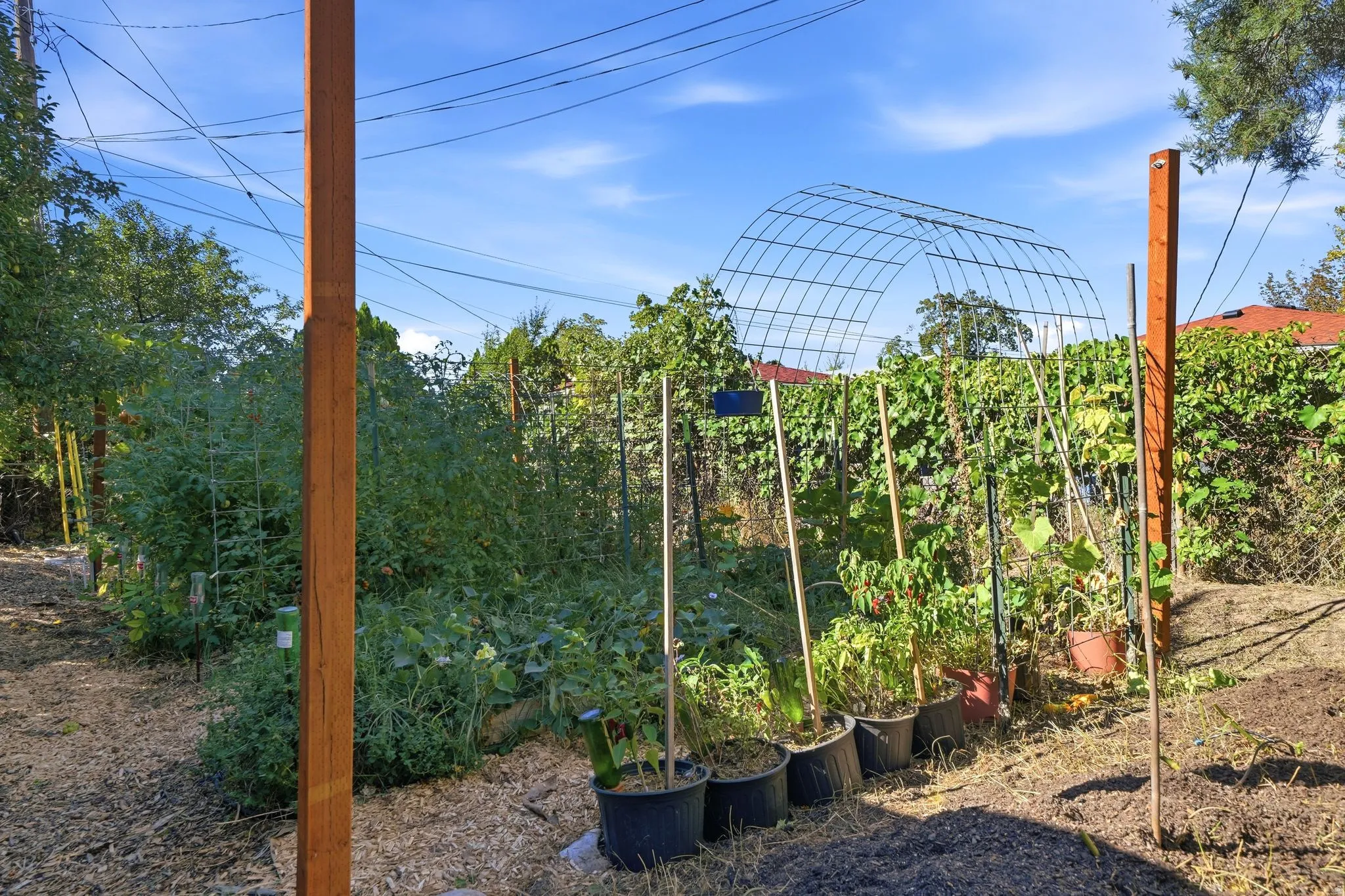 Expansive outdoor garden area featuring a metal arch trellis, multiple raised garden beds, and planted containers