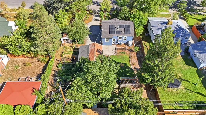 Blue exterior residence with a gray shingle roof, solar panels, and a concrete driveway