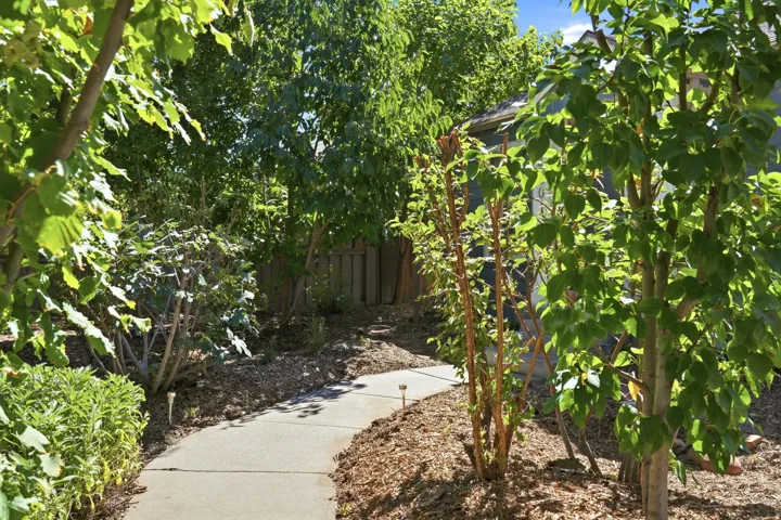 Concrete pathway surrounded by dense, mature landscaping and a privacy fence