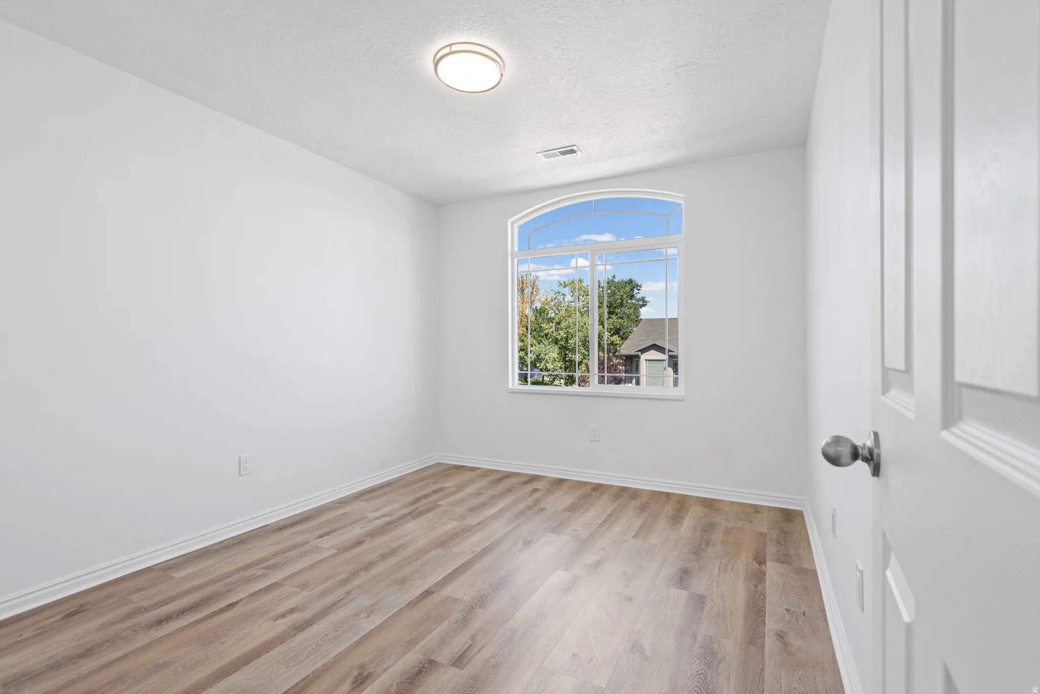 Arched window with gridded panes, wood-finish flooring, white walls, and a ceiling-mounted light fixture