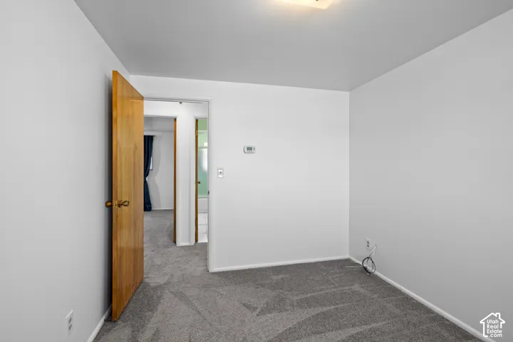 Neutral wall color, wall-to-wall carpeting, wood-finish interior door, flush-mount ceiling light