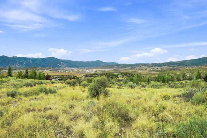 Expansive natural landscape featuring varied vegetation