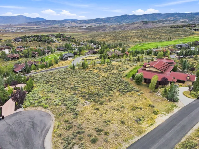 Expansive lot featuring mature natural landscaping and a paved driveway