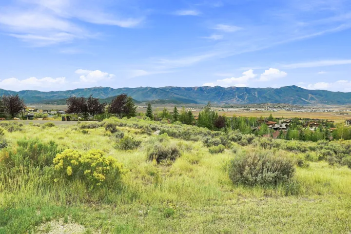 Expansive landscape featuring distant mountains and varied natural vegetation