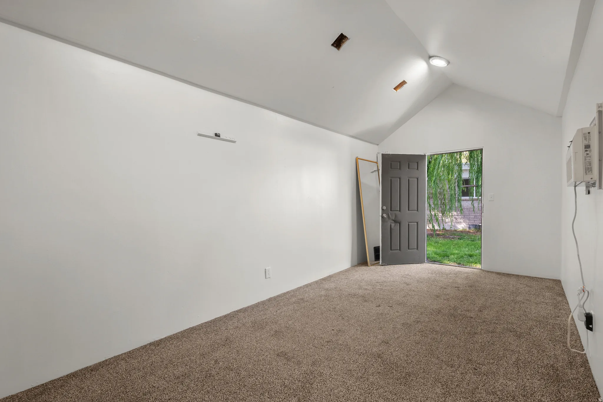 Shed Interior