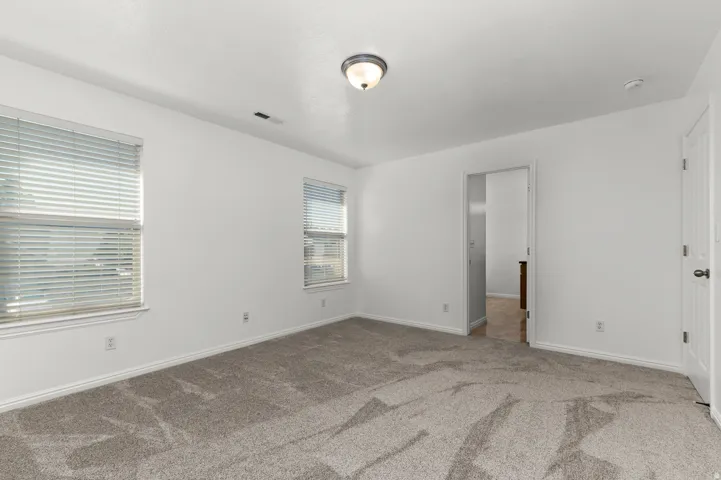 Spacious bedroom with abundant natural light from dual windows, neutral carpet flooring, and ceiling-mounted fixture