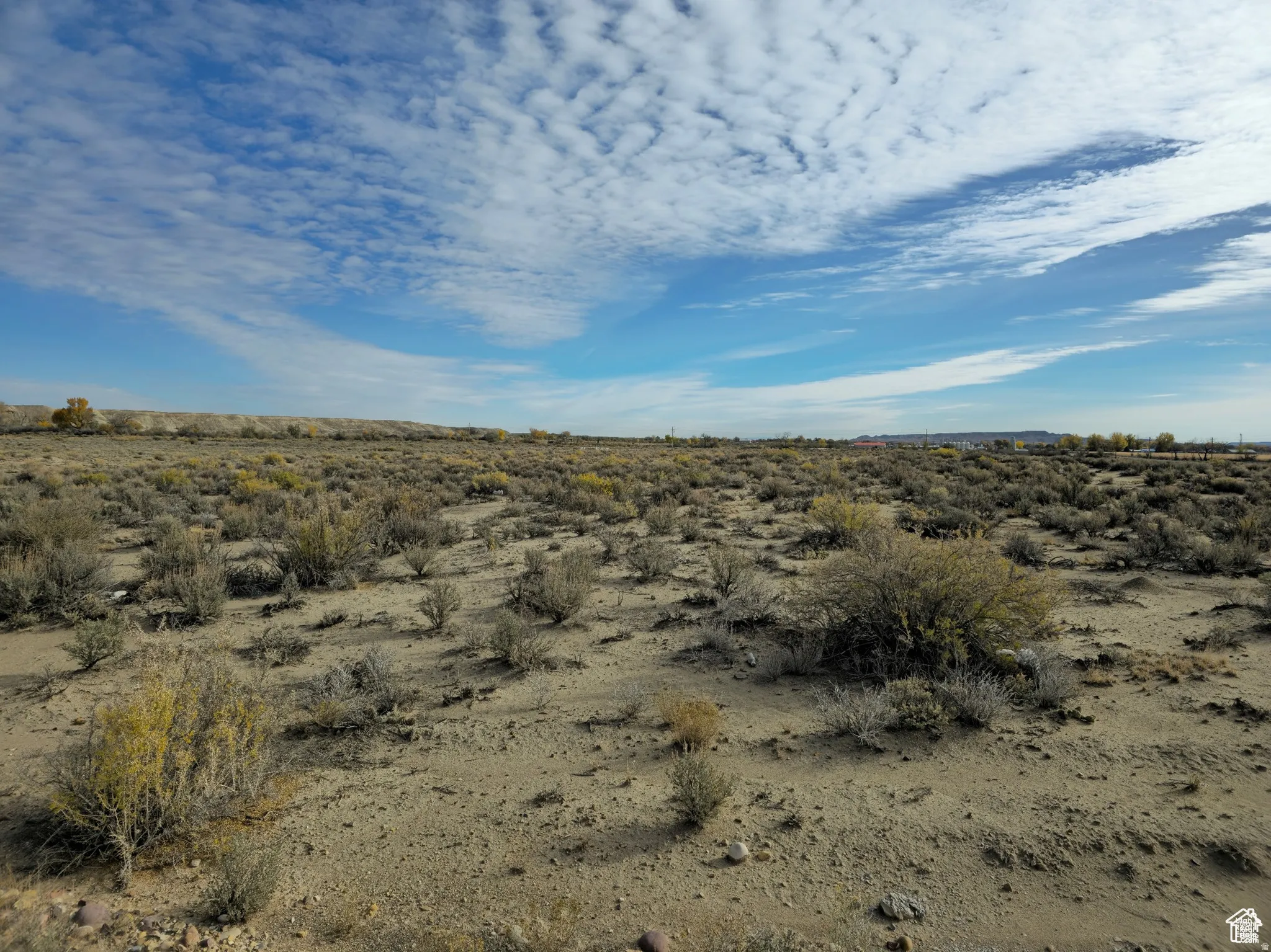 Expansive desert landscape featuring natural vegetation and distant land formations under a broad sky