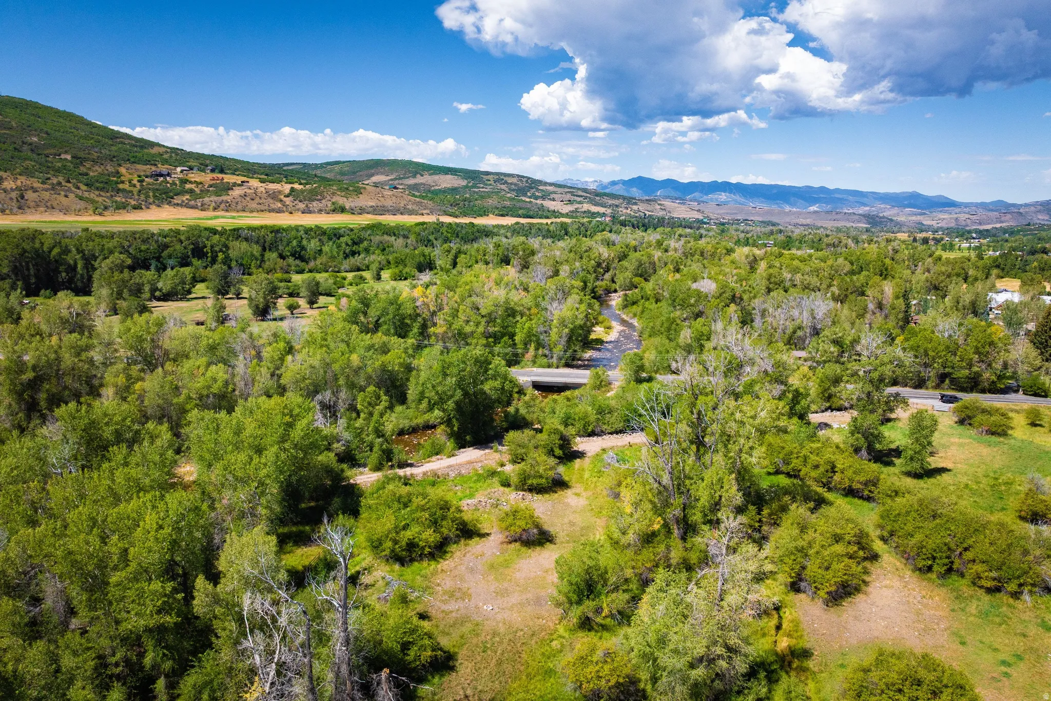 Expansive natural landscape featuring lush green trees, a winding river, and distant mountains